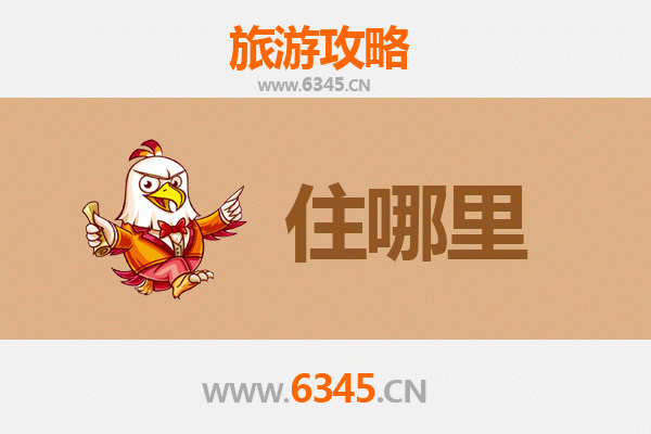 深圳南山旅游民宿全攻略：文艺小众与便利之选